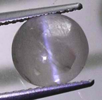 Bra Pris Mycket Sällsynt Zirkon Kattöga 2,70 carat Oval Cabochon Fin Kvalitet Samlarsten från Sri Lanka Köp Nu!